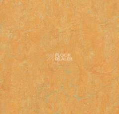 Линолеум Forbo Marmoleum Decibel on Order 384735 golden saffron фото 1 | FLOORDEALER